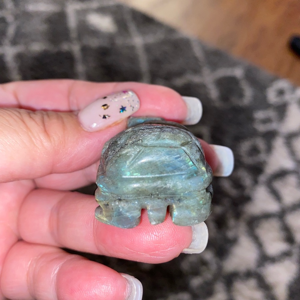 Crystal turtles - Picture 8 of 16